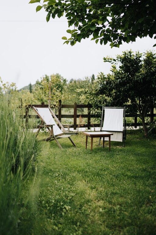 Tips for Creating a Relaxing Outdoor Space in Your Backyard